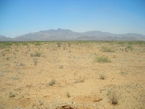 5700 E Arzberger Rd #161, Willcox, AZ 85643 photo 2