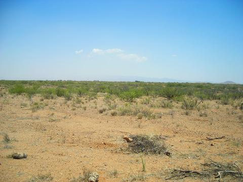 5700 E Arzberger Rd #161, Willcox, AZ 85643 photo 4
