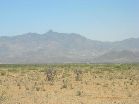 5700 E Arzberger Rd #161, Willcox, AZ 85643
