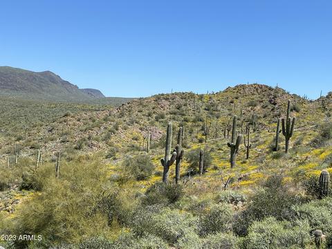 404 N 32nd St #-, Cave Creek, AZ 85331