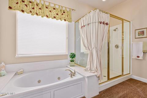 2349 E Mallory Cir, Mesa, AZ 85213 photo 42
