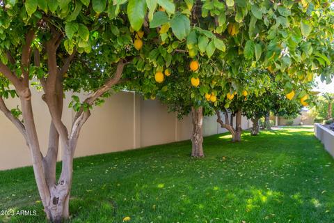 2349 E Mallory Cir, Mesa, AZ 85213 photo 66