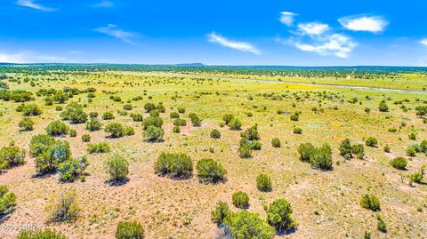 Antelope Valley Ranches Lot 470 --, Seligman, AZ 86337