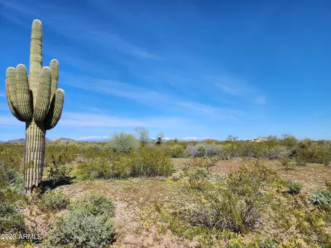 000 W Forest Pleasant Pl #230, Wittmann, AZ 85361