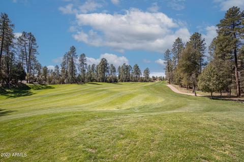 2517 E Scarlet Bugler Cir, Payson, AZ 85541 photo 38
