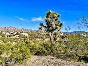 30118 N Surf Cv Unit 291  