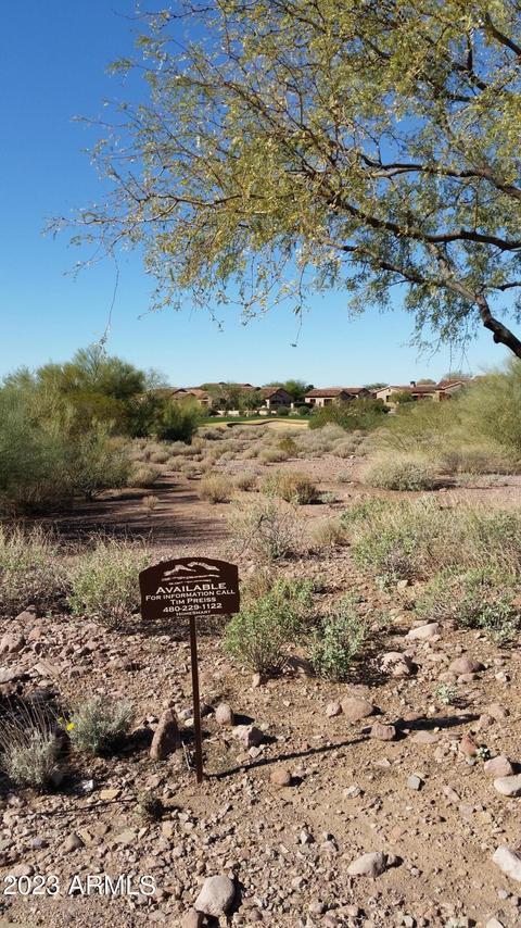3250 S Lost Gold Dr #2, Gold Canyon, AZ 85118