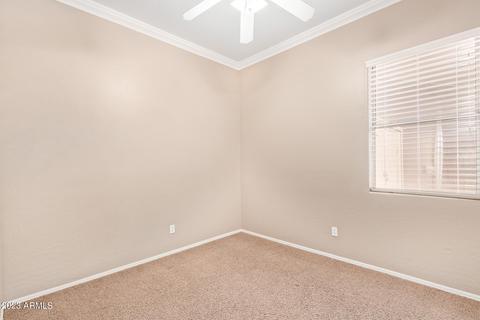 10313 E Irwin Ave, Mesa, AZ 85209 photo 27