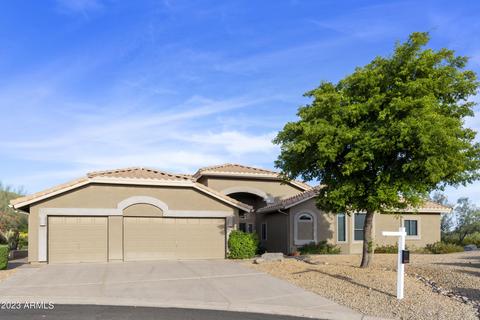 9099 E Brittle Bush Rd, Gold Canyon, AZ 85118