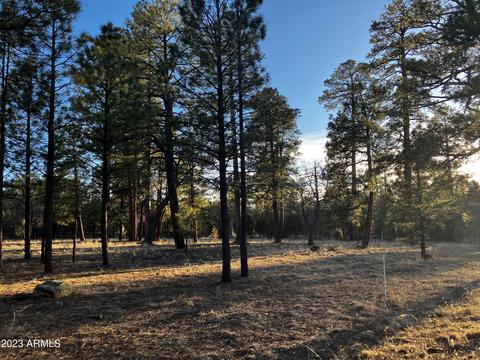 1270 1271 Sunrise Place -- Apt 12 11 #12, 11, Happy Jack, AZ 86024