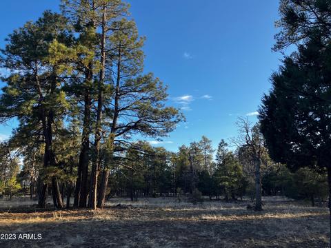 1271 Sunrise Pl #11, Happy Jack, AZ 86024