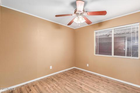 978 E Santa Cruz Ln, Apache Junction, AZ 85119 photo 17