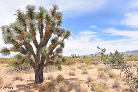 0 S Javelina Rd #197, Yucca, AZ 86438