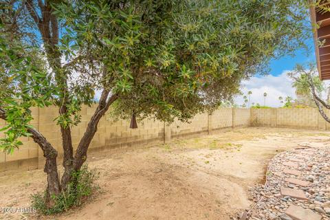 4108 E Gold Dust Ave, Phoenix, AZ 85028 photo 22