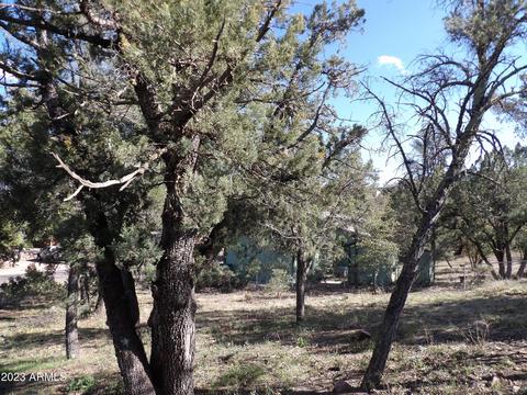 906 S Manzanita Dr #144, Payson, AZ 85541