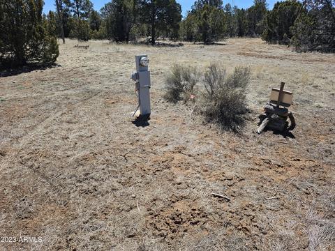 3356 Basin Rd, Overgaard, AZ 85933 photo 22