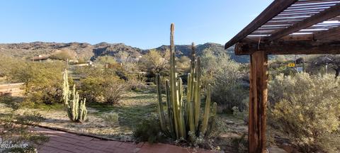 8653 S 22nd Pl, Phoenix, AZ 85042 photo 9