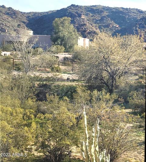 8653 S 22nd Pl, Phoenix, AZ 85042 photo 10
