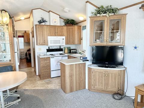 459 S Jaspar Dr, Apache Junction, AZ 85119 photo 22