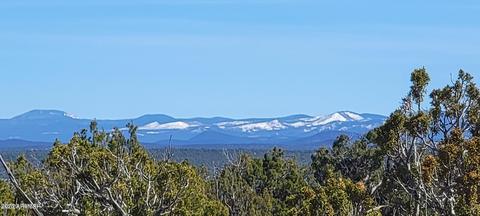 9287 Melody Ln #004A, White Mountain Lake, AZ 85912