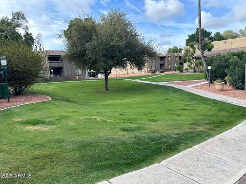 3825 E Camelback Rd #241, Phoenix, AZ 85018 photo 48