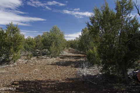 1603 N Pineveta Rd #-, Ash Fork, AZ 86320 photo 13