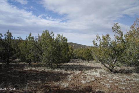 1603 N Pineveta Rd #-, Ash Fork, AZ 86320 photo 25