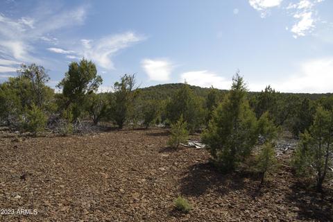 1603 N Pineveta Rd #-, Ash Fork, AZ 86320 photo 15