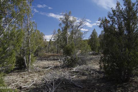 1603 N Pineveta Rd #-, Ash Fork, AZ 86320 photo 12