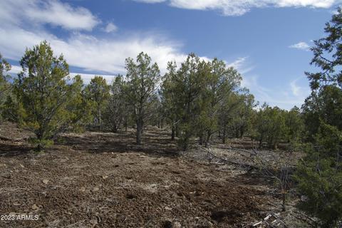1603 N Pineveta Rd #-, Ash Fork, AZ 86320 photo 20