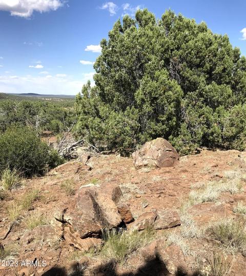 1603 N Pineveta Rd #-, Ash Fork, AZ 86320 photo 39