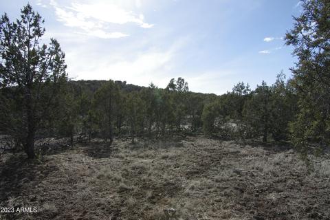 1603 N Pineveta Rd #-, Ash Fork, AZ 86320 photo 23