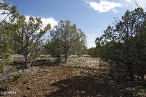 1603 N Pineveta Rd #-, Ash Fork, AZ 86320 photo 22