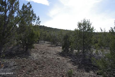 1605 N Pineveta Rd #-, Ash Fork, AZ 86320 photo 18