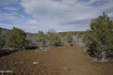 1605 N Pineveta Rd #-, Ash Fork, AZ 86320 photo 31