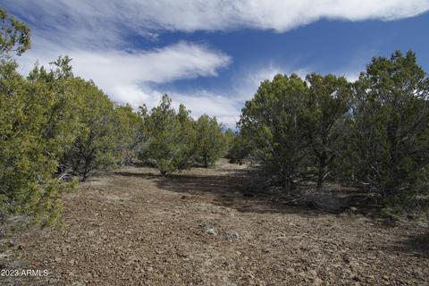 1605 N Pineveta Rd #-, Ash Fork, AZ 86320 photo 17