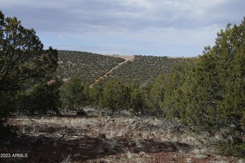 1605 N Pineveta Rd #-, Ash Fork, AZ 86320 photo 8