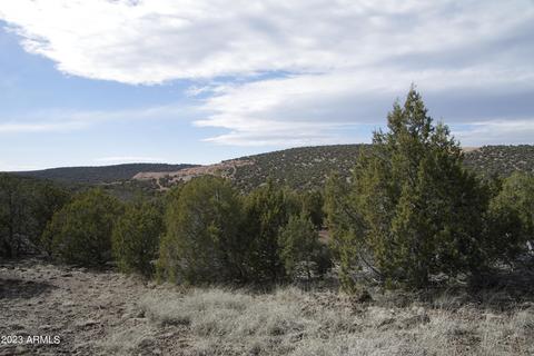 1605 N Pineveta Rd #-, Ash Fork, AZ 86320 photo 7