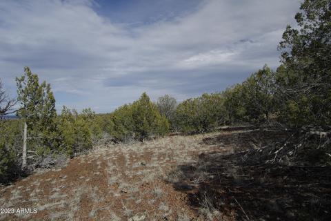 1605 N Pineveta Rd #-, Ash Fork, AZ 86320 photo 28