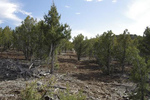 1605 N Pineveta Rd #-, Ash Fork, AZ 86320 photo 19