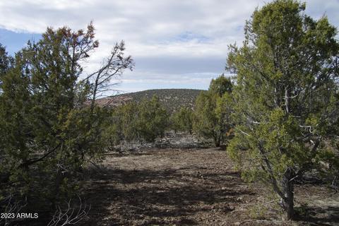 1605 N Pineveta Rd #-, Ash Fork, AZ 86320 photo 21