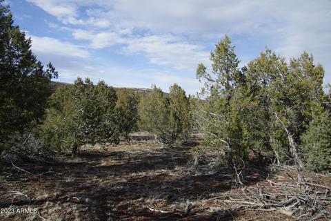 1605 N Pineveta Rd #-, Ash Fork, AZ 86320 photo 30