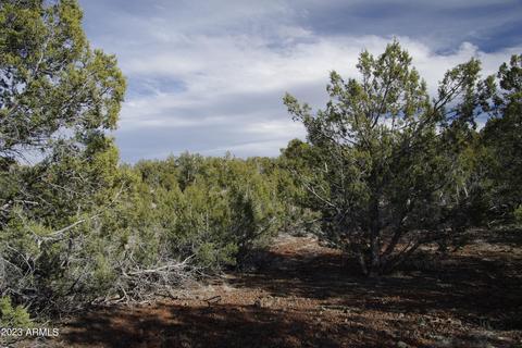 1605 N Pineveta Rd #-, Ash Fork, AZ 86320 photo 29