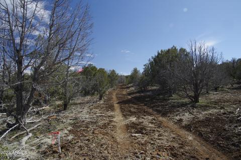 1605 N Pineveta Rd #-, Ash Fork, AZ 86320 photo 9
