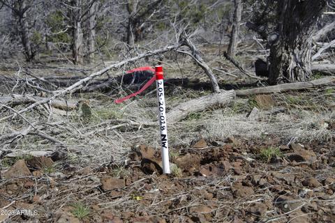 1605 N Pineveta Rd #-, Ash Fork, AZ 86320 photo 32