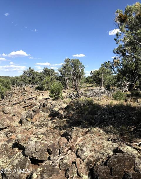 1605 N Pineveta Rd #-, Ash Fork, AZ 86320 photo 35