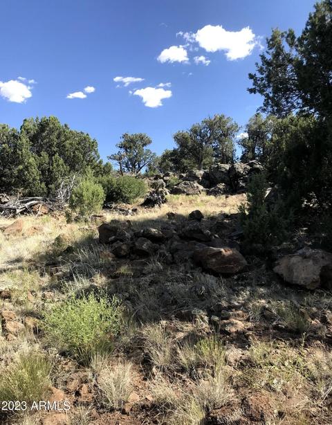 1605 N Pineveta Rd #-, Ash Fork, AZ 86320 photo 41