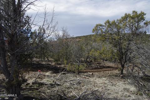 1605 N Pineveta Rd #-, Ash Fork, AZ 86320 photo 11