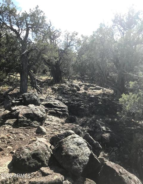 1605 N Pineveta Rd #-, Ash Fork, AZ 86320 photo 34