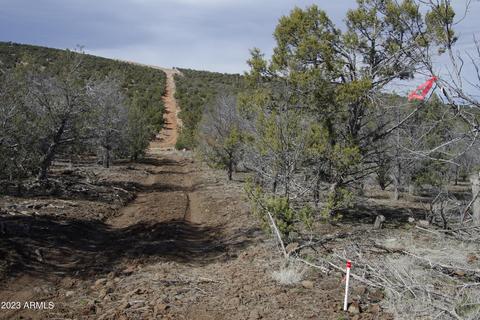 1605 N Pineveta Rd #-, Ash Fork, AZ 86320 photo 10